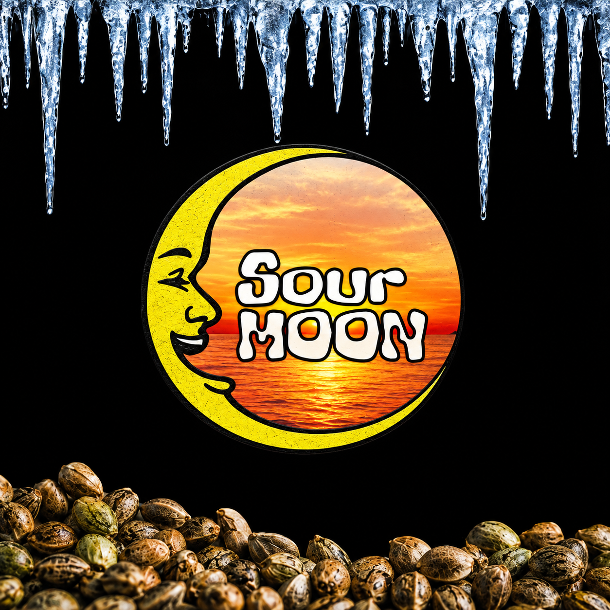 SOUR SUNSET X BLACK MOON (FEM) collection image