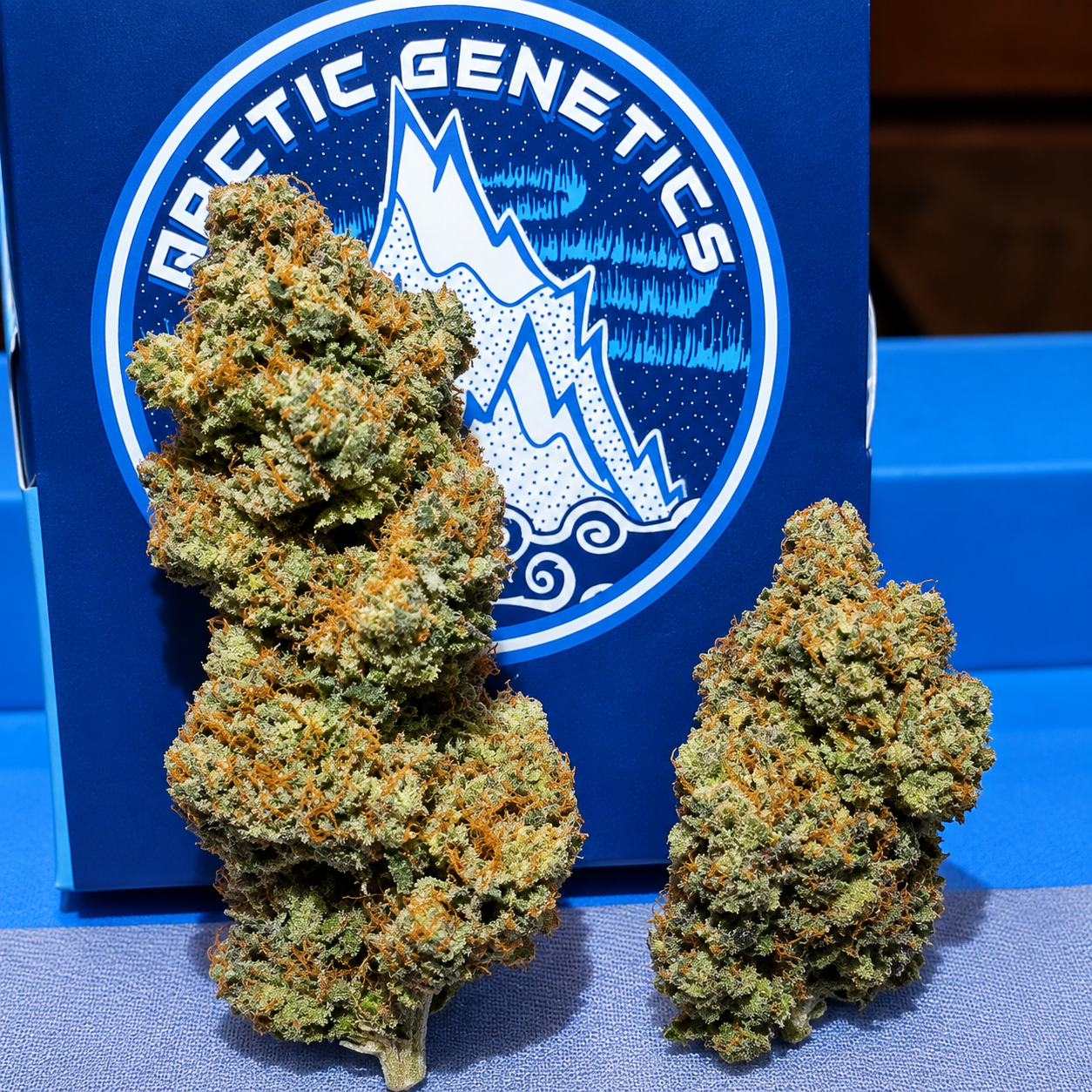 (PEANUT BUTTER BREATH X RAINBOW TRUFFLE) X RAINBOW MINTS (REG) collection image