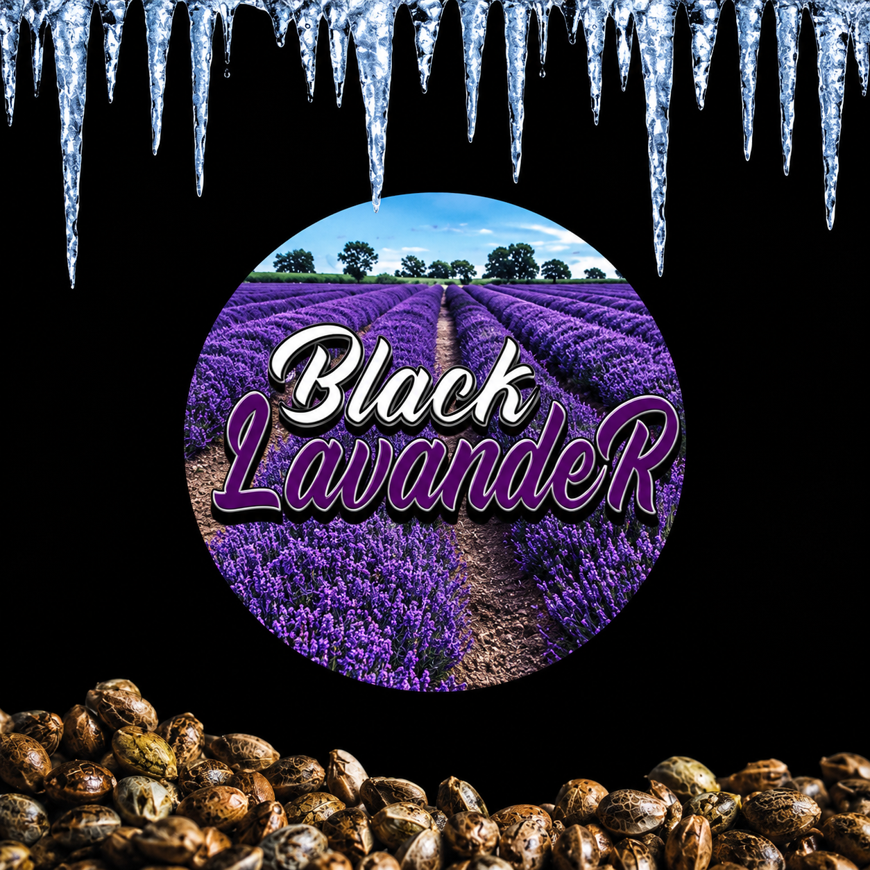LAVENDER LAYER CAKE X BLACK MOON (FEM) collection image