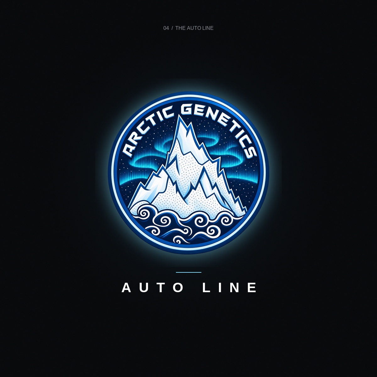 Holy / Arctic Auto Line artwork